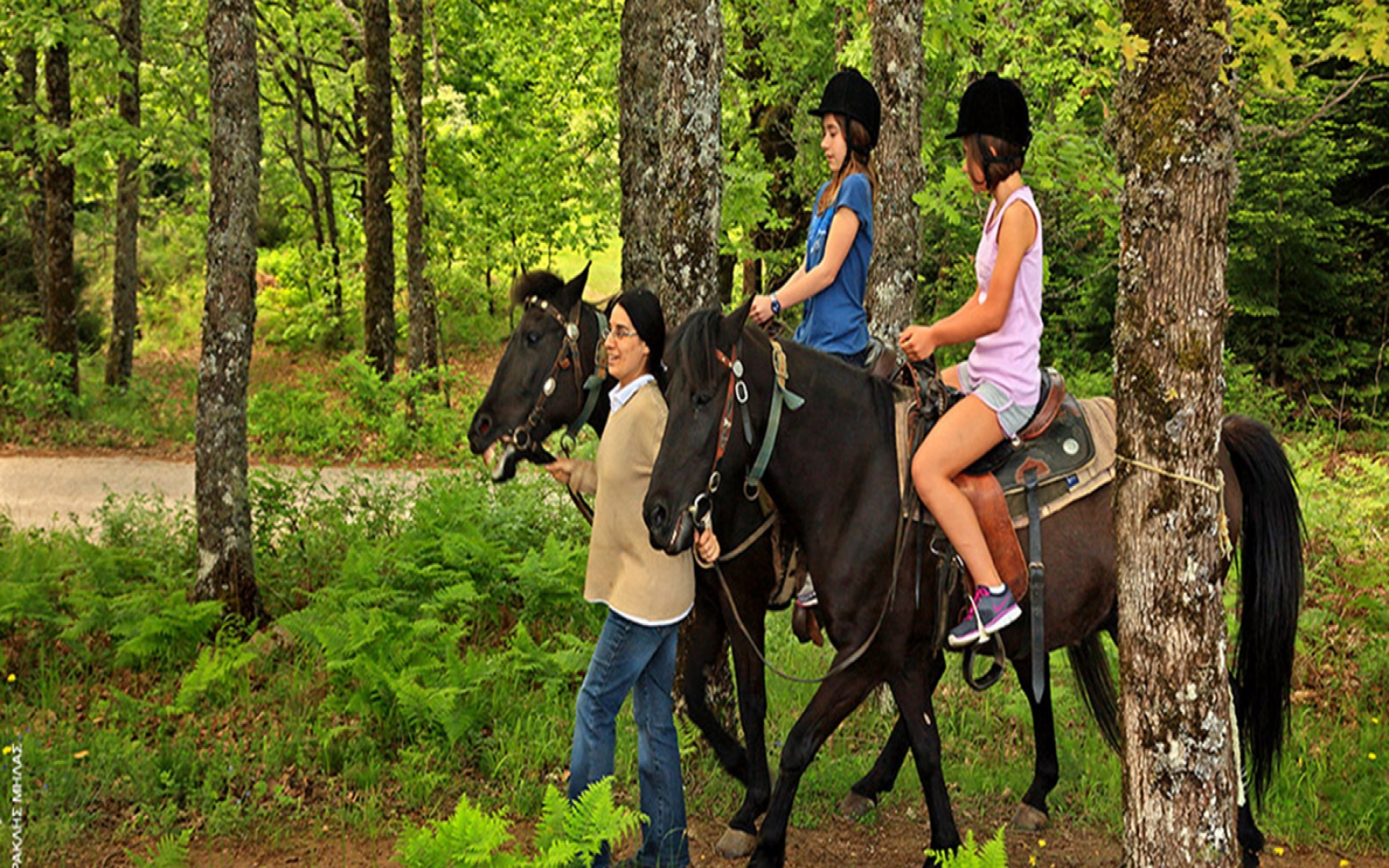 Horseback Riding